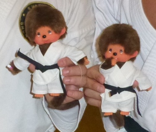 Karate-Monchis